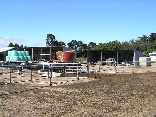 NZ leden-unor 2006 101.jpg